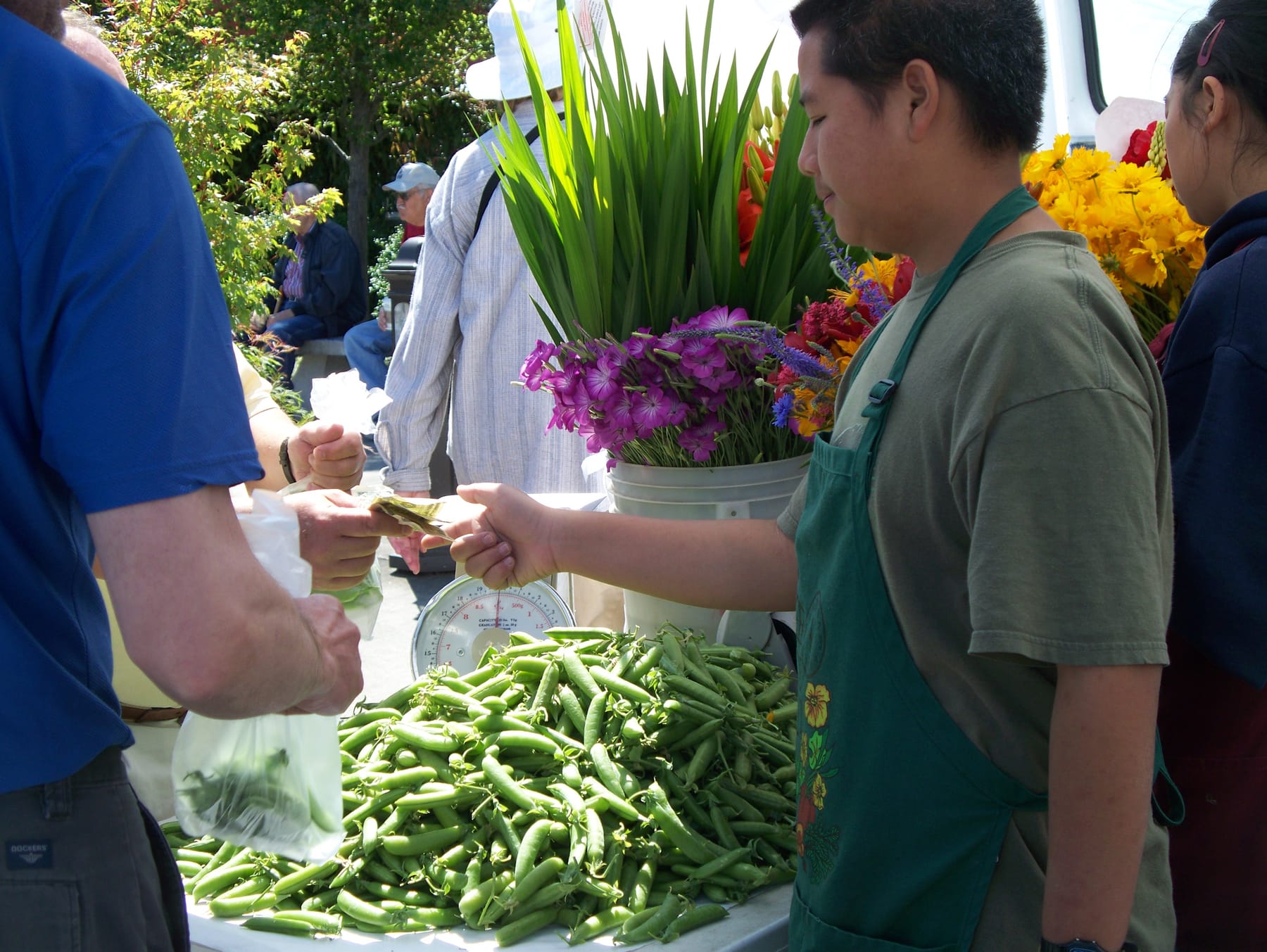 A customer hands a folded bill to a vendor in a green apron across a market table heaped with sugar snap peas, with a dial scale and buckets of cut flowers behind them