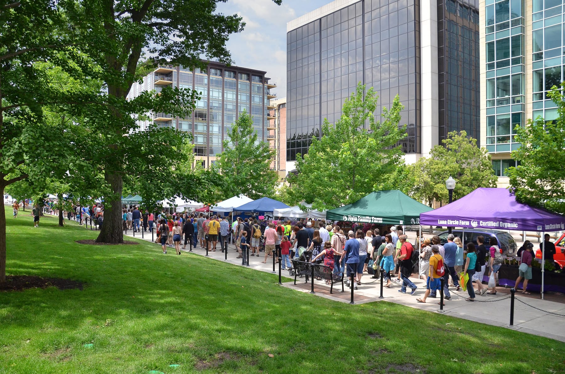 A long line of shoppers walks along a sidewalk past a row of vendor canopies, one purple and printed with a farm name, on Capitol Square in Madison, Wisconsin, with glass office towers behind