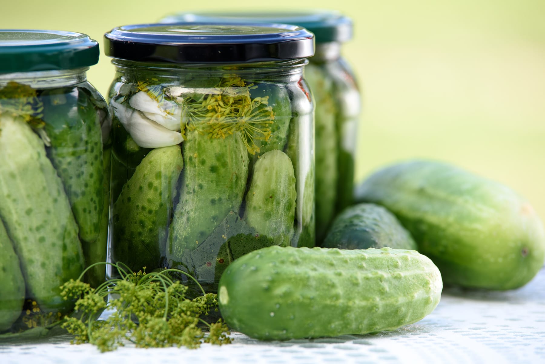 Three glass jars packed with whole cucumbers, dill flower heads, and garlic cloves, with fresh pickling cucumbers and a sprig of dill lying in front of them on a white cloth outdoors